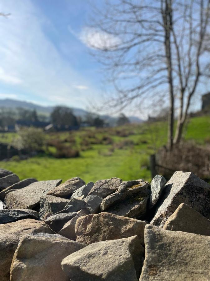 Trawsfynydd Stone Cottage Εξωτερικό φωτογραφία