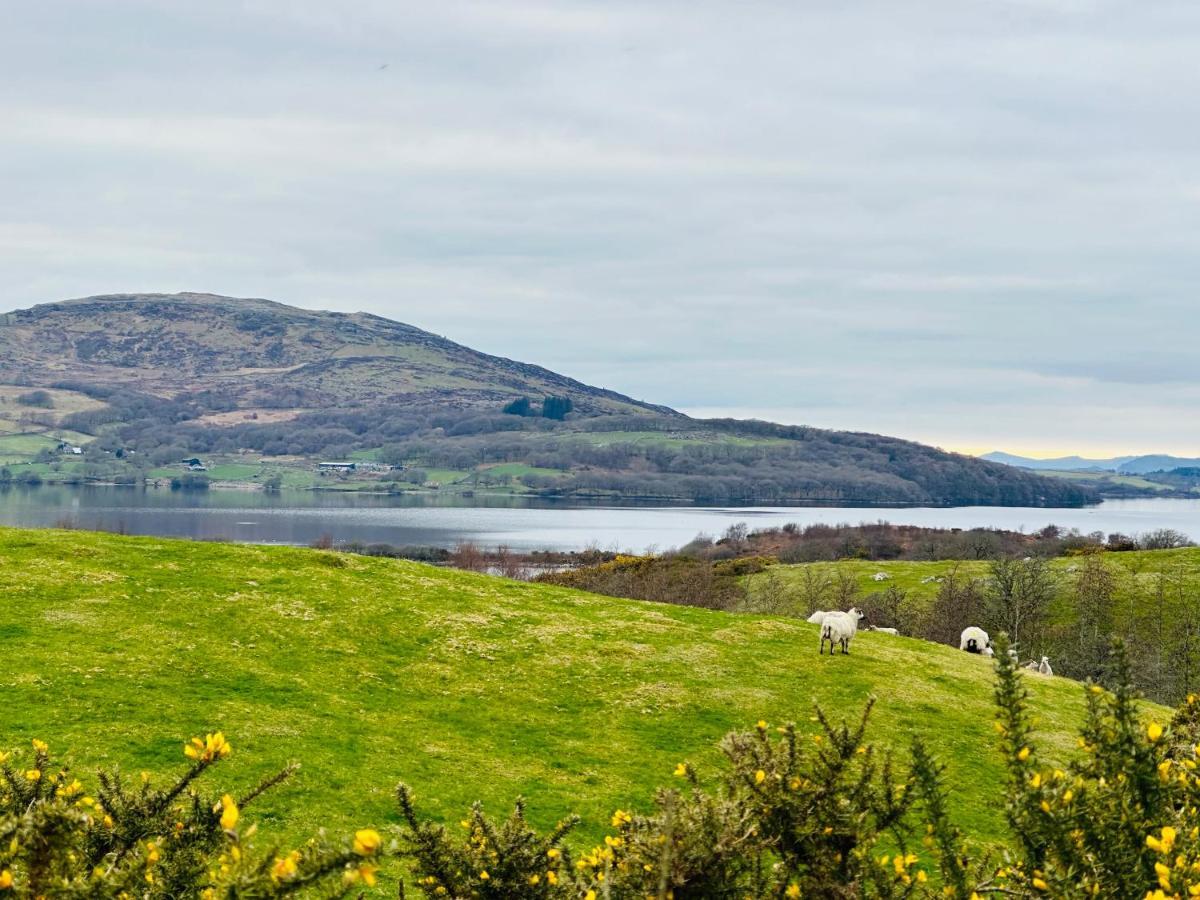 Trawsfynydd Stone Cottage Εξωτερικό φωτογραφία